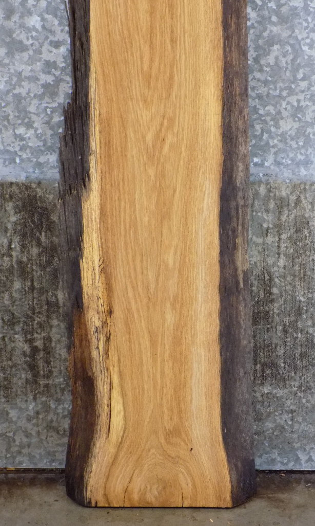 Natural Edge White Oak Salvaged Sofa/Cocktail Table Top Slab 191