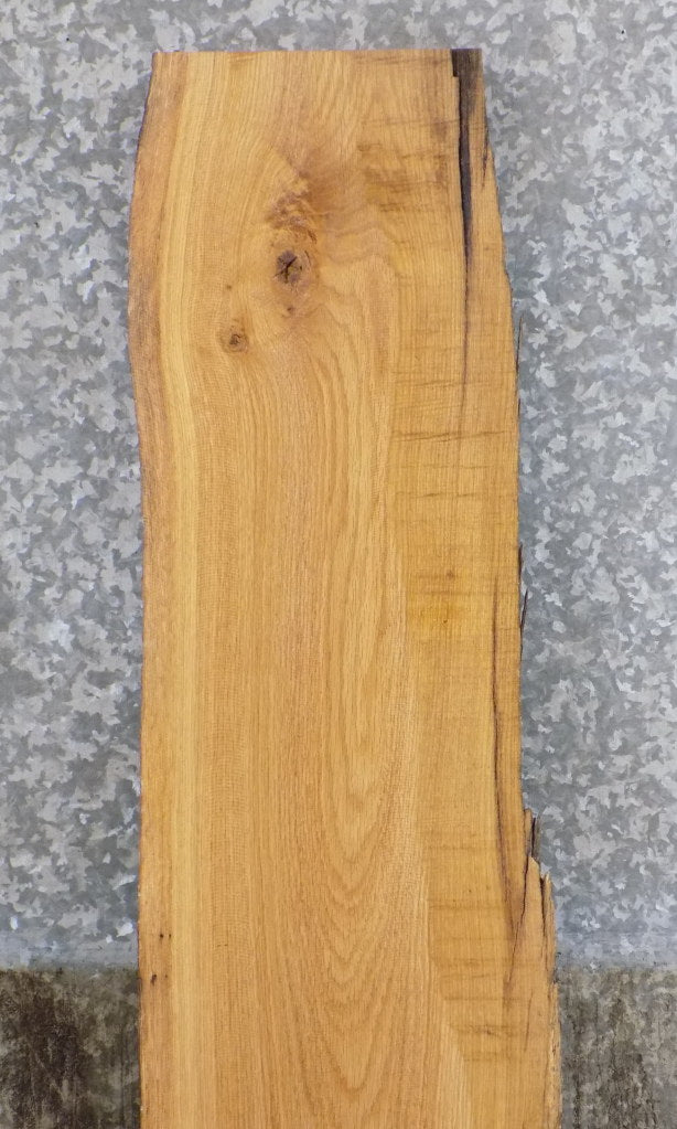 Natural Edge White Oak Salvaged Sofa/Cocktail Table Top Slab 191