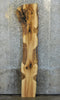 Thumbnail for Rustic Natural Edge Red Oak Sofa/Table Top Slab CLOSEOUT 1