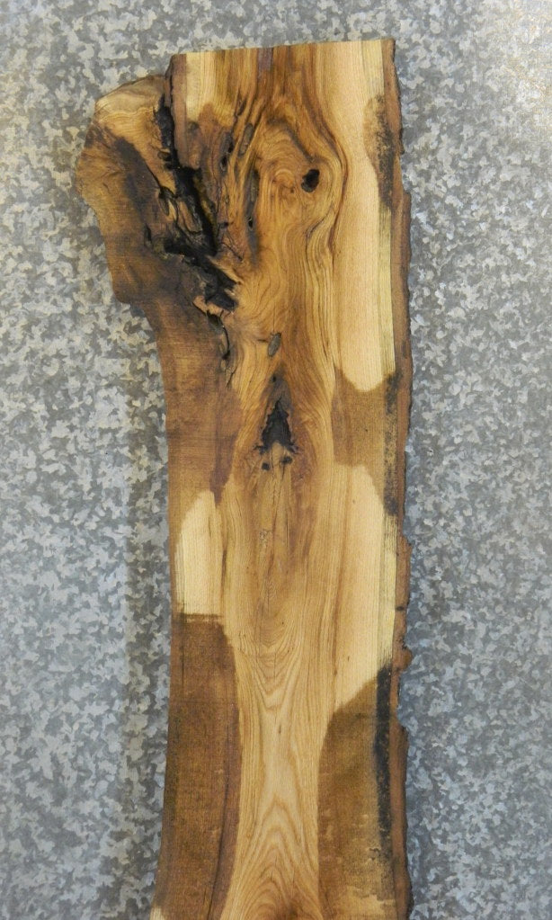 Rustic Natural Edge Red Oak Sofa/Table Top Slab CLOSEOUT 1