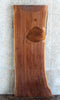 Thumbnail for Live Edge Black Walnut Table/Desk Top Slab 20033