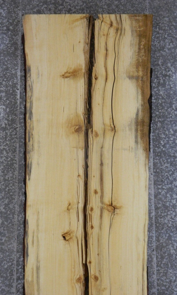 2- Pine Live Edge Bark River Table Top Slab Halves CLOSEOUT 20061