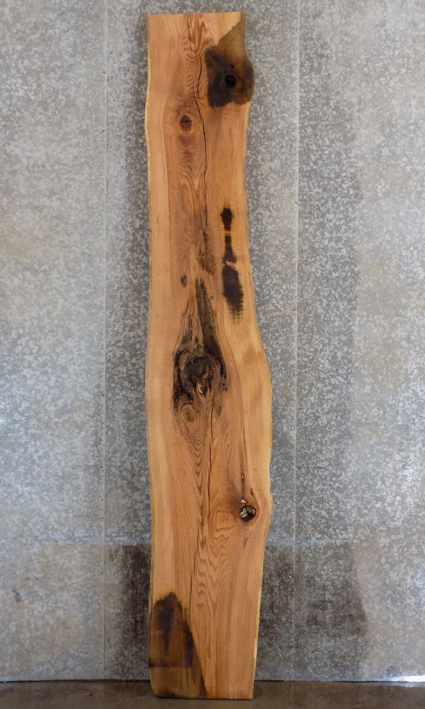 Rustic Natural Edge Red Oak Bar Slab, Bar Top Wood Slab 20067
