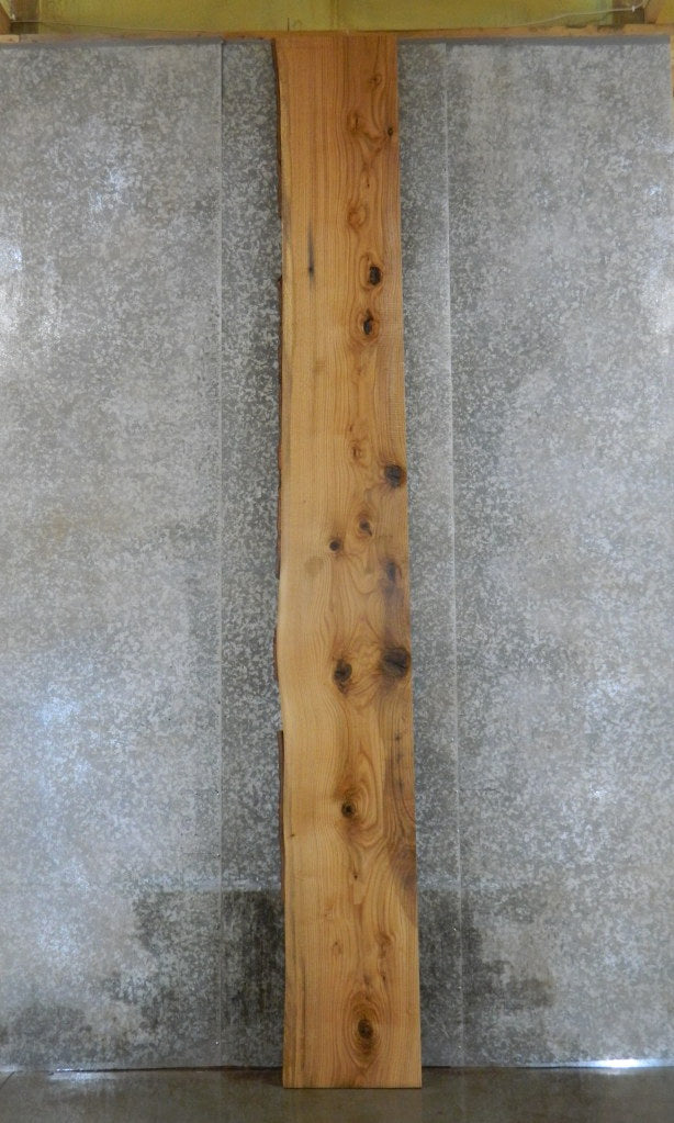 Live Edge Red Oak Rustic Table Top, Bar Top Wood Slab 20126