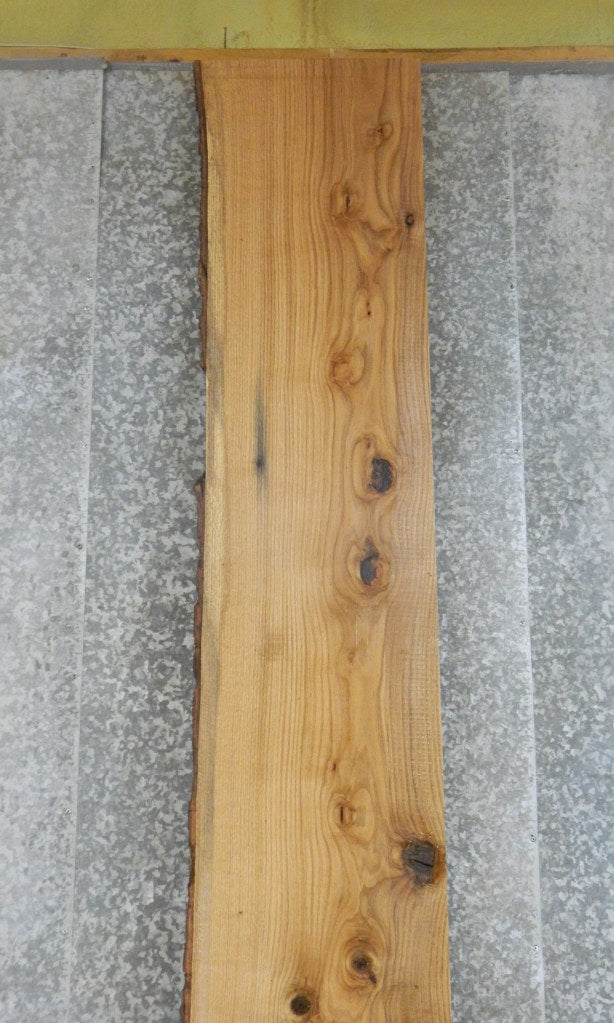 Live Edge Red Oak Rustic Table Top, Bar Top Wood Slab 20126