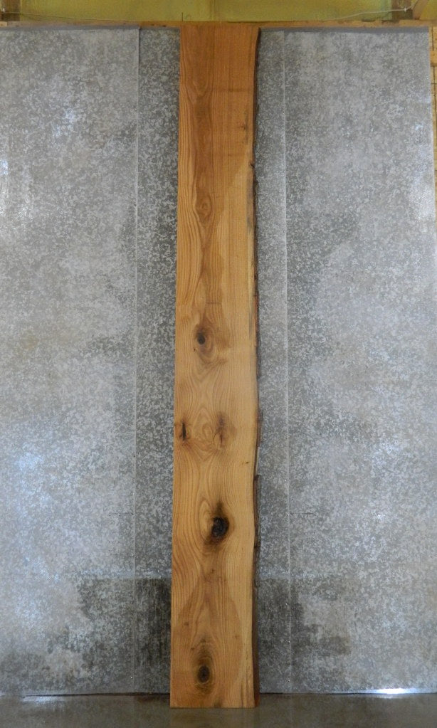 Live Edge Red Oak Rustic Table Top, Bar Top Wood Slab 20126