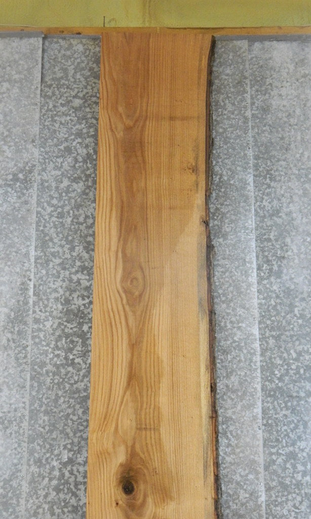 Live Edge Red Oak Rustic Table Top, Bar Top Wood Slab 20126