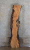 Thumbnail for Live Edge Spalted Maple Rustic Reception Table/Bar Top Slab 20144