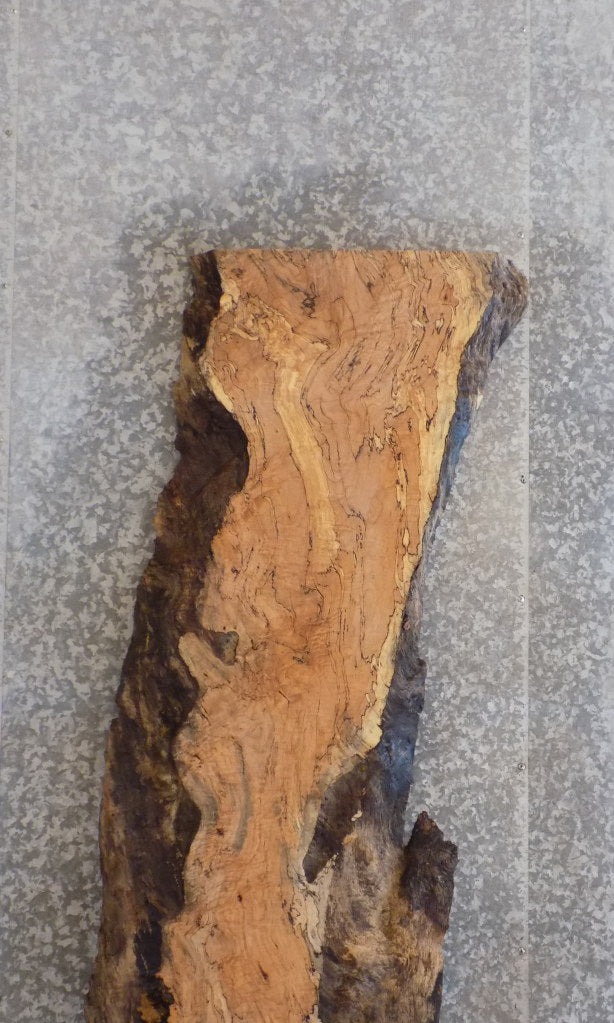 Live Edge Spalted Maple Rustic Reception Table/Bar Top Slab 20144