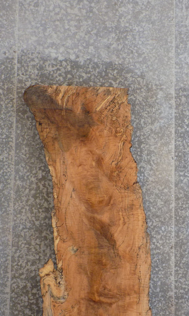 Live Edge Spalted Maple Rustic Reception Table/Bar Top Slab 20144