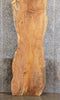 Thumbnail for Live Edge Spalted Maple Rustic Reception Table/Bar Top Slab 20144