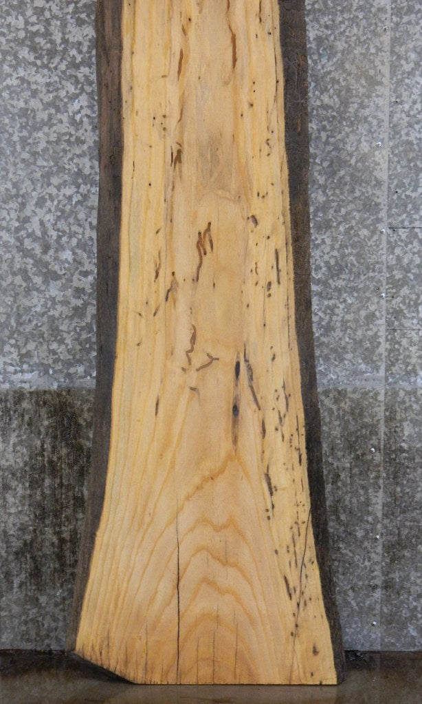 Live Edge Ash Bar Top, Long Countertop, Headboard Slab 20156