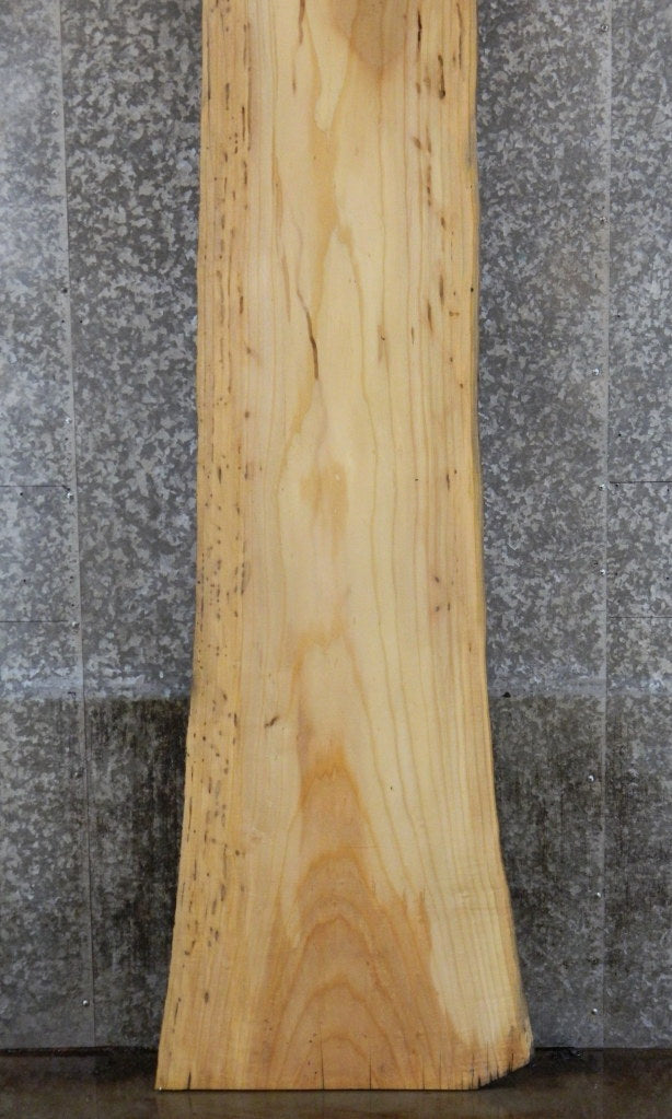 Live Edge Ash Bar Top, Long Countertop, Headboard Slab 20156