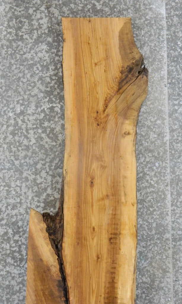 Live Edge Ash Bar/Table Top/Headboard Wood Slab CLOSEOUT 20157