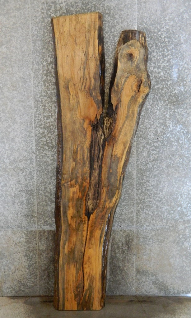 Rustic Live Edge Spalted Maple Bar Top Wood Slab CLOSEOUT 20243