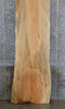 Thumbnail for Salvaged Live Edge Spalted Maple Bar/Table Top Wood Slab 20270