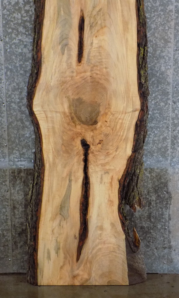 Live Edge Spalted Maple Office Desk Slab, Solid Wood Bar Top 20277