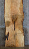 Thumbnail for Live Edge Spalted Maple Office Desk Slab, Solid Wood Bar Top 20277