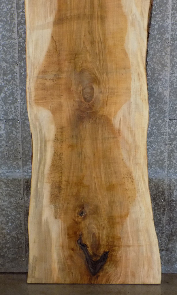 Live Edge Rustic Maple Office Desk/Kitchen Table Top Slab 20386
