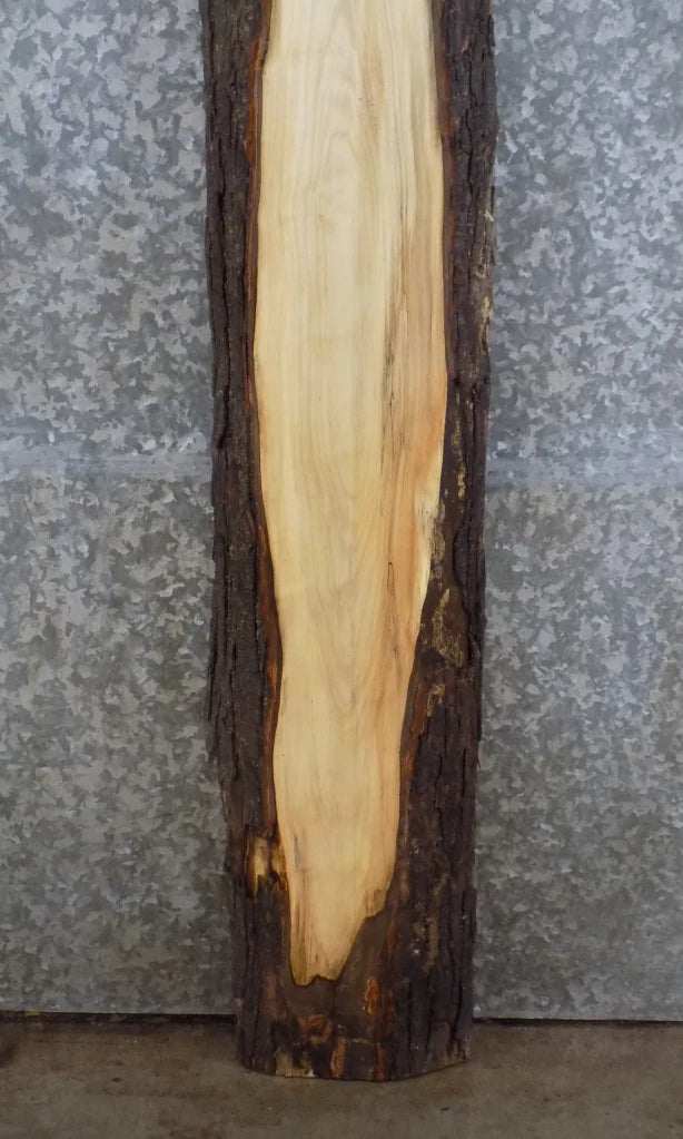 Live Edge Full Bark Maple Bar Top/Mantle Slab 203