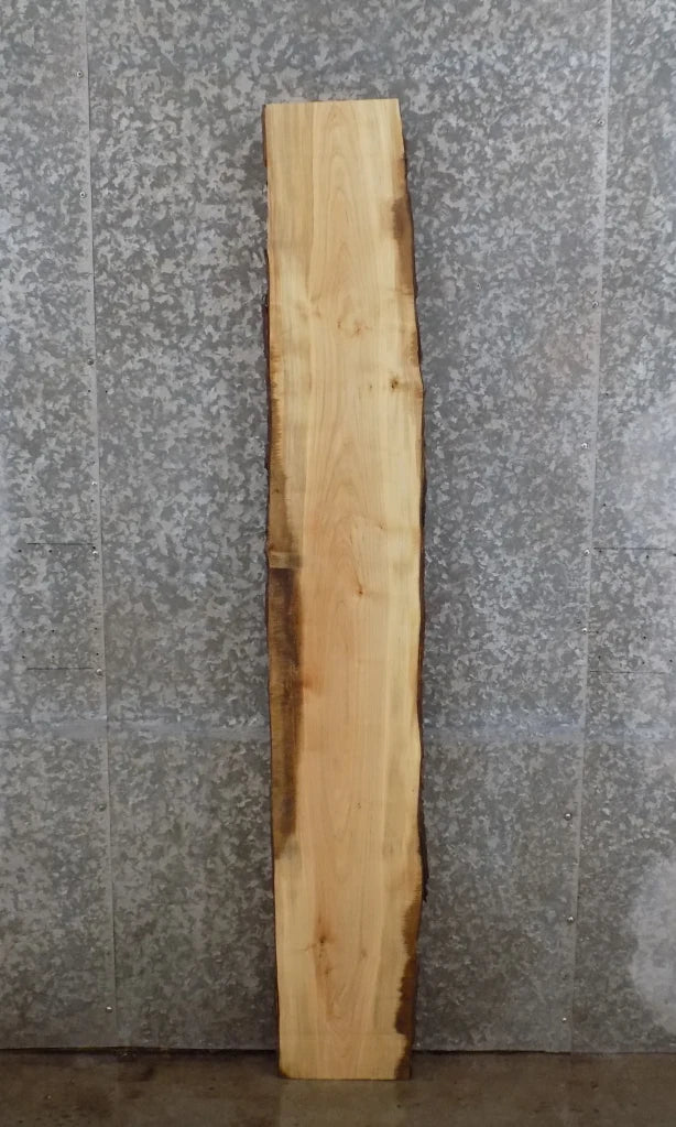 Live Edge Full Bark Maple Bar Top/Mantle Slab 203