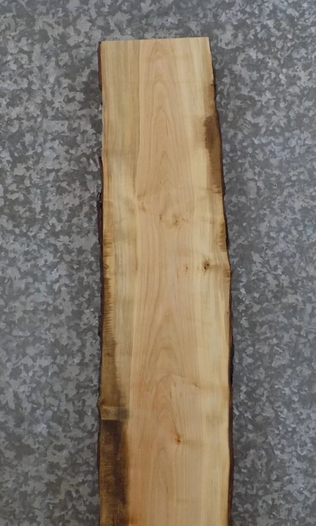 Live Edge Full Bark Maple Bar Top/Mantle Slab 203