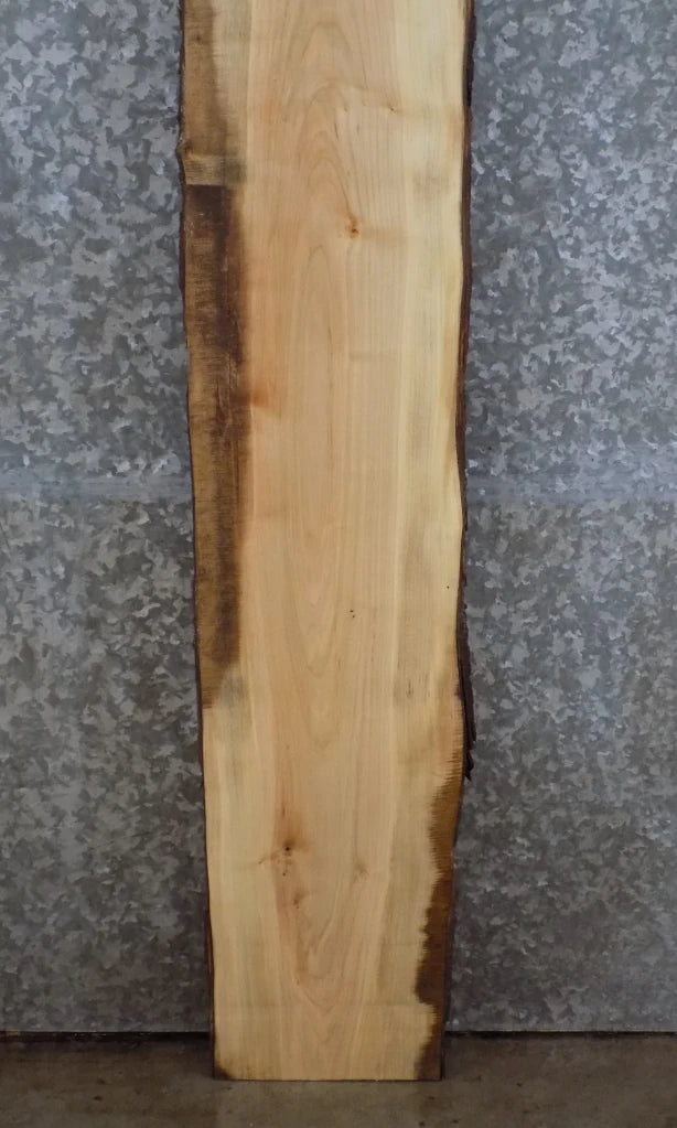 Live Edge Full Bark Maple Bar Top/Mantle Slab 203