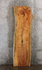 Thumbnail for Maple Live Edge Dining Table Top Wooden Slab, Bar Top 20401