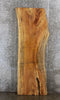 Thumbnail for Maple Natural Edge Wood Dining Table Top Slab, Countertop, Bar 20407