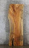Thumbnail for Maple Live Edge Kitchen Countertop Wooden Slab, Bar Top 20408