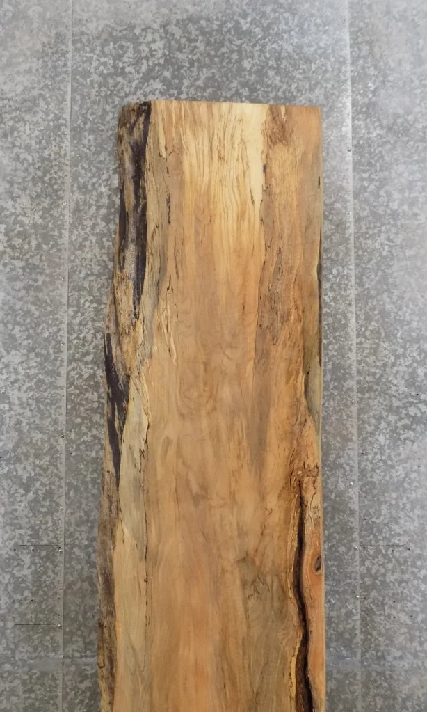 Solid Wood, Live Edge Spalted Maple Countertop Slab, Bar Top 20413