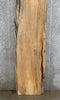 Thumbnail for Solid Wood, Live Edge Spalted Maple Countertop Slab, Bar Top 20413