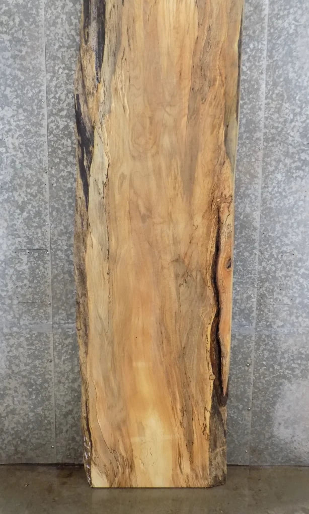 Solid Wood, Live Edge Spalted Maple Countertop Slab, Bar Top 20413