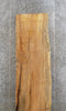 Thumbnail for Solid Wood, Live Edge Spalted Maple Countertop Slab, Bar Top 20413