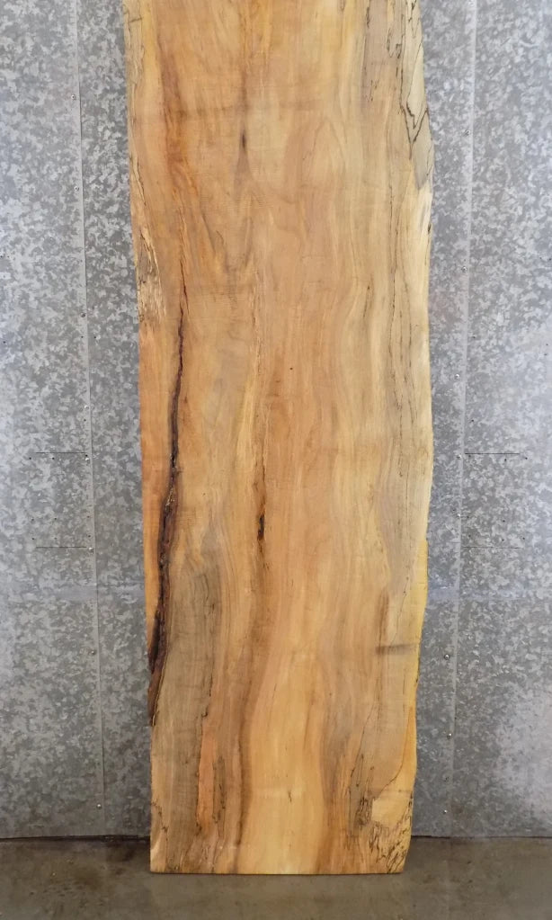 Solid Wood, Live Edge Spalted Maple Countertop Slab, Bar Top 20413
