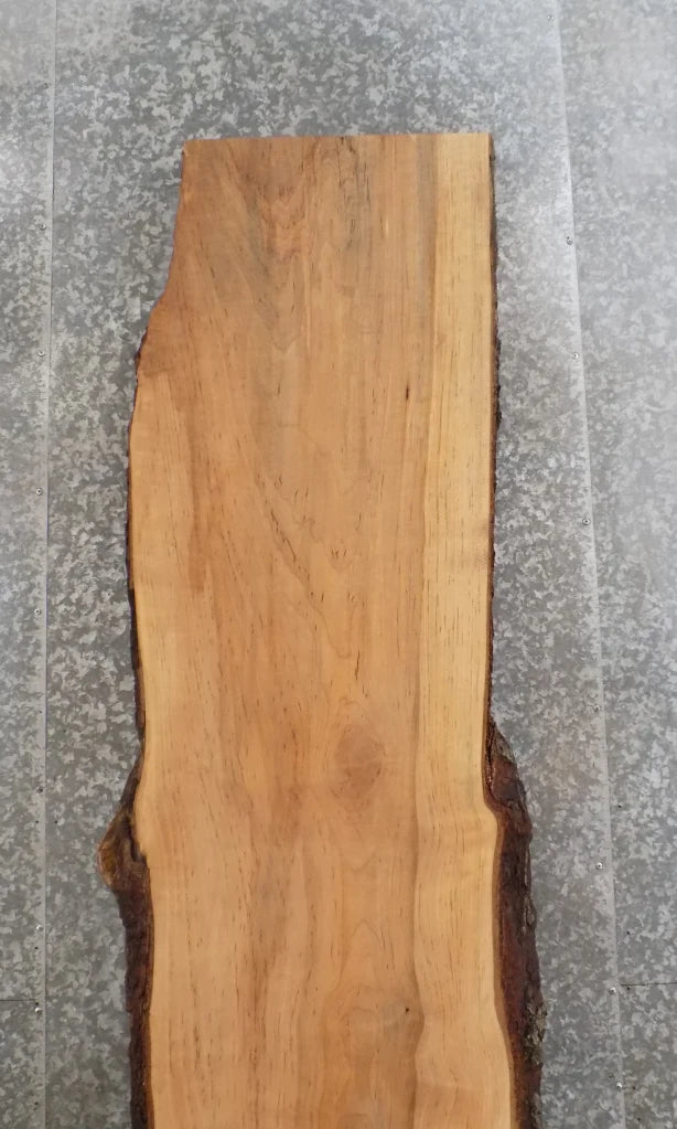 Live Edge Maple Countertop Slab, Bar Top, Dining Table Top 20416
