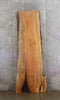 Thumbnail for Live Edge Spalted Maple Dining Table Top Slab, Bar Top 20419