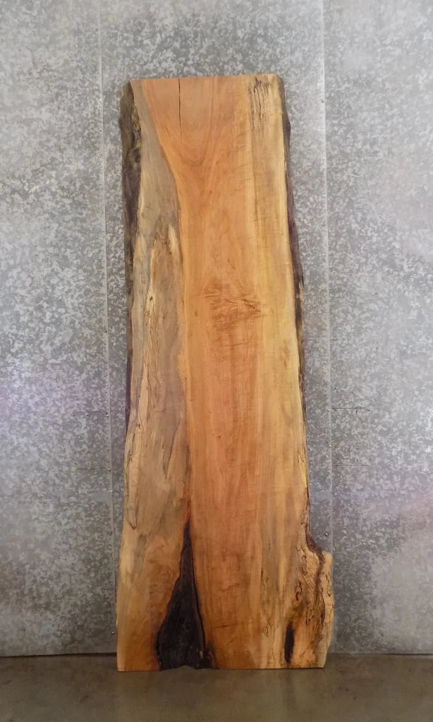 Live Edge Spalted Maple Dining Table Top Slab, Bar Top 20419
