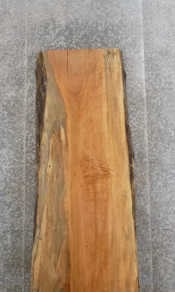 Live Edge Spalted Maple Dining Table Top Slab, Bar Top 20419