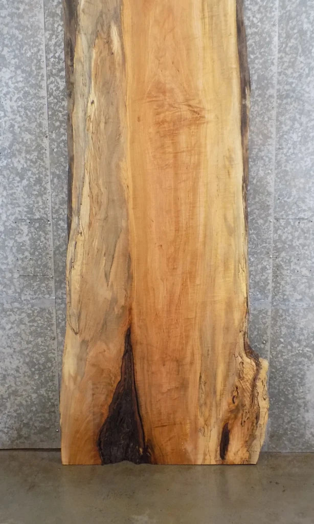 Live Edge Spalted Maple Dining Table Top Slab, Bar Top 20419