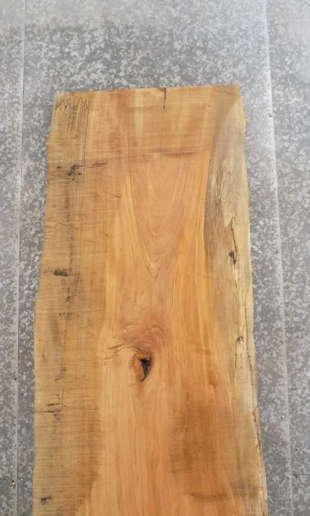 Live Edge Spalted Maple Dining Table Top Slab, Bar Top 20419