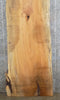 Thumbnail for Live Edge Spalted Maple Dining Table Top Slab, Bar Top 20419
