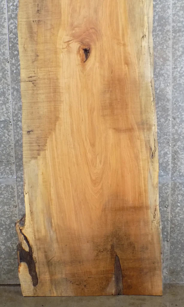 Live Edge Spalted Maple Dining Table Top Slab, Bar Top 20419
