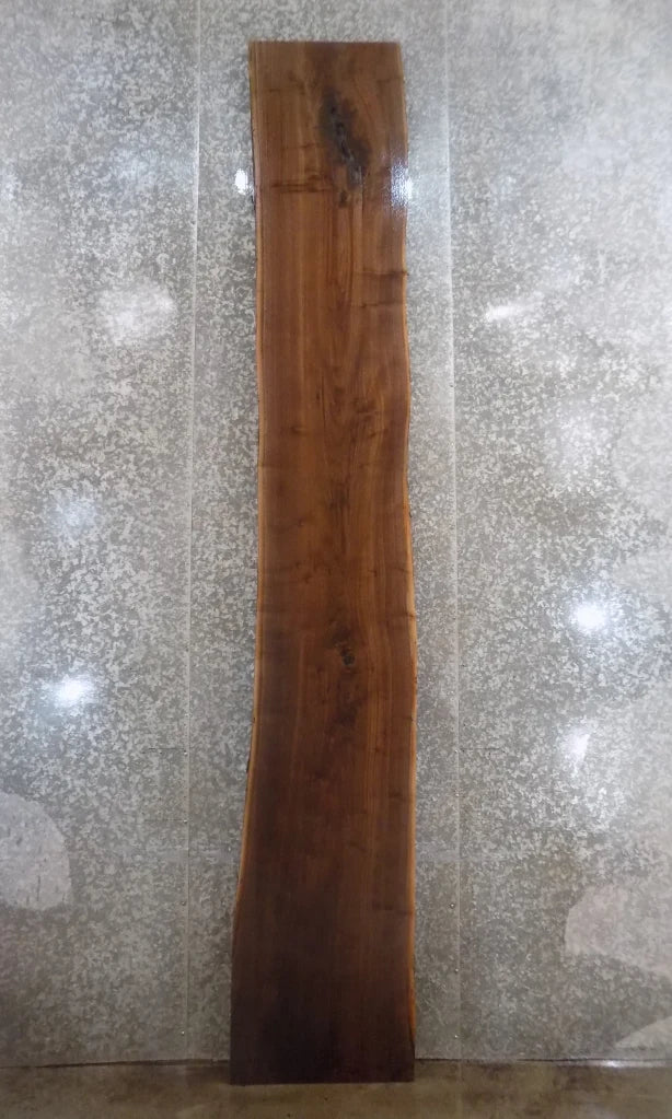 Live Edge Black Walnut Bar Top Slab, Countertop, Mantel 20458