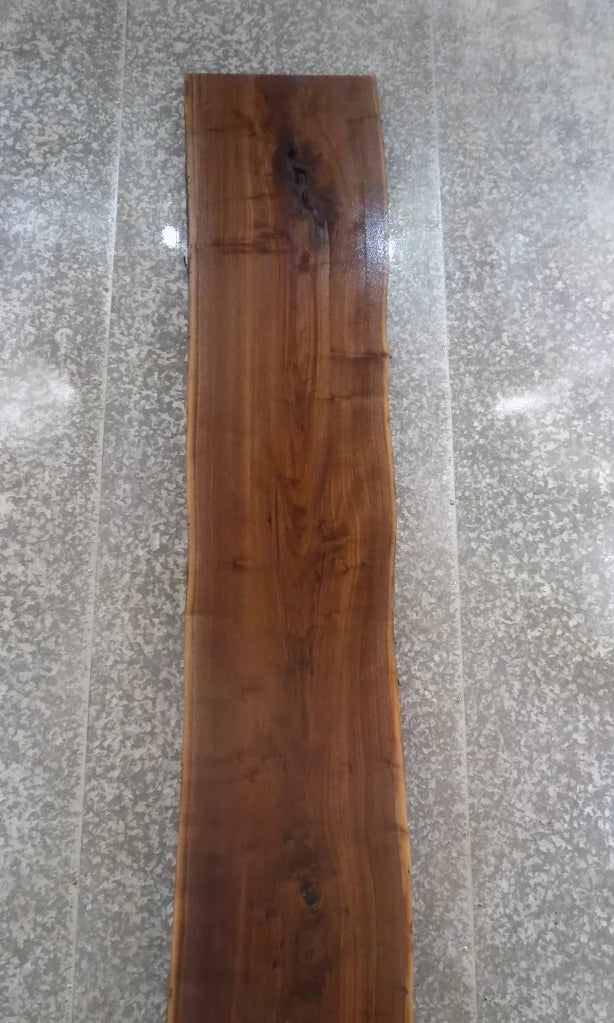 Live Edge Black Walnut Bar Top Slab, Countertop, Mantel 20458