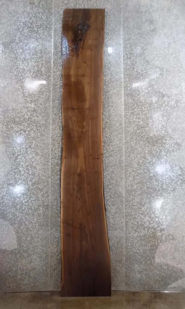 Live Edge Black Walnut Bar Top Slab, Countertop, Mantel 20458