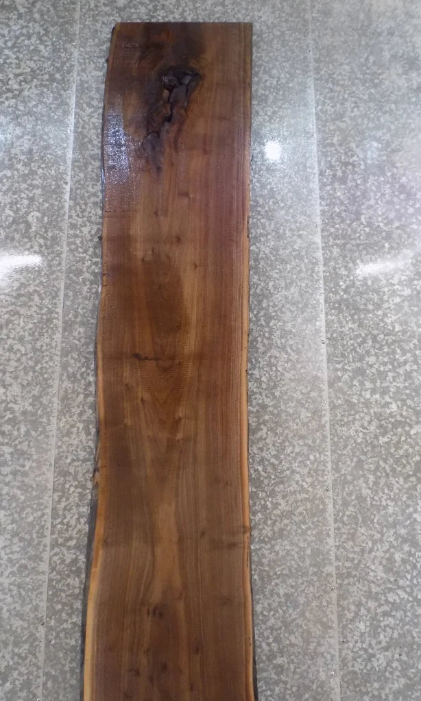 Live Edge Black Walnut Bar Top Slab, Countertop, Mantel 20458