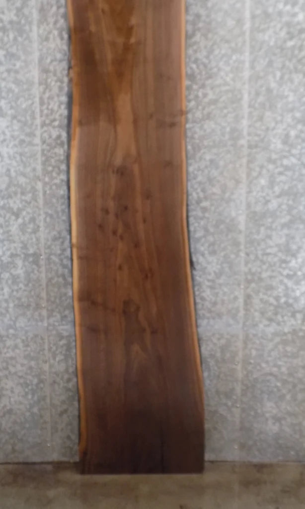 Live Edge Black Walnut Bar Top Slab, Countertop, Mantel 20458