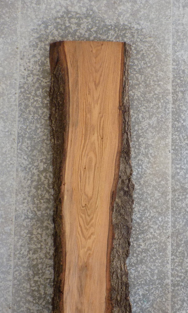 Live Edge Bark Red Oak Rustic Bar/Table Top Wood Slab CLOSEOUT 20463