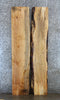 Thumbnail for 2- Spalted Maple Live Edge Wood Dining Table Top Slab Set 20535-20536